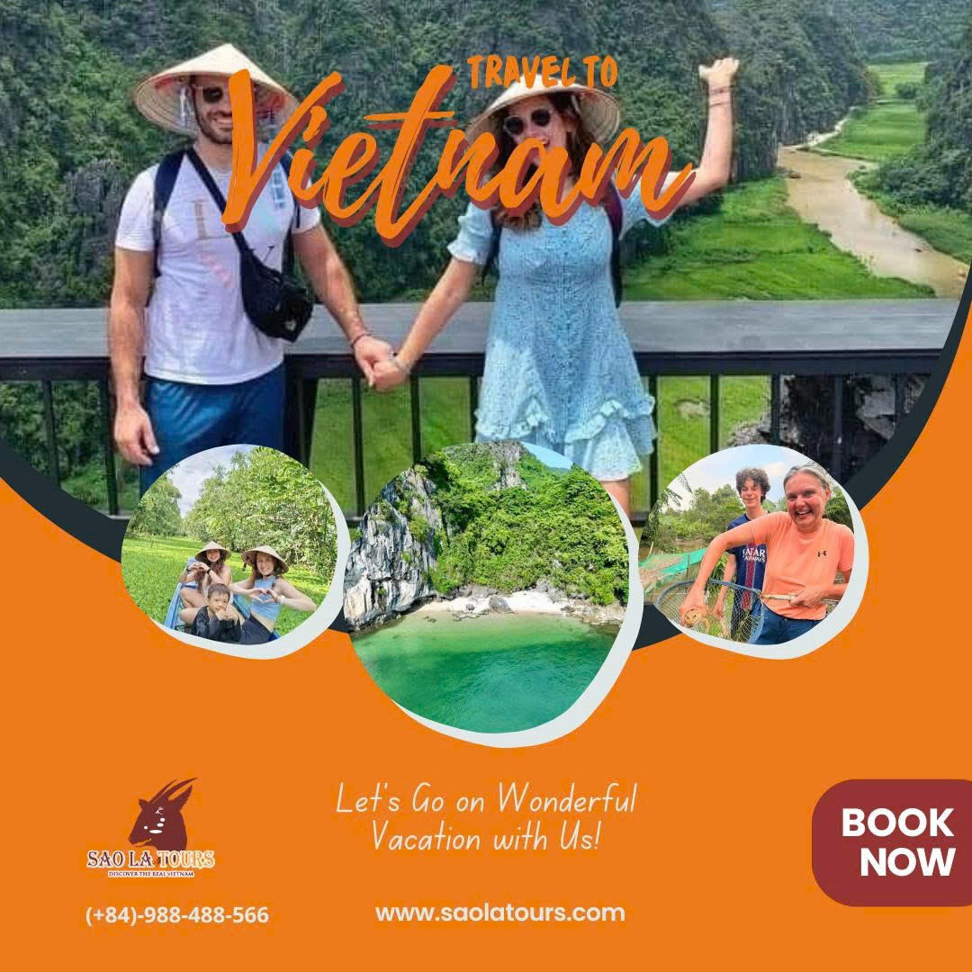 vietnamtravel20's tweet photo. Dreaming of unforgettable Vietnam vacations? From vibrant cities to peaceful beaches and rich culture, Vietnam has it all. Let us help you plan a journey made just for you. Start your adventure today—message us now!
#VietnamVacations #TravelVietnam #VisitVietnam #AsiaTravel https://t.co/fJuBqS87Yq