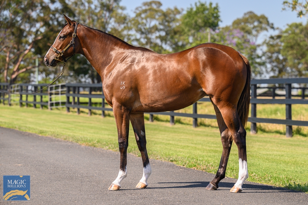 Middlebrook Valley Lodge tweet media