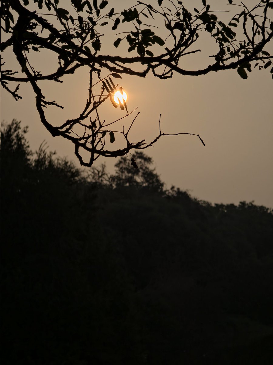 Point and Shoot straight out of Expert RAW. S25 Ultra's Expert RAW is a blessing for photographers. 

Thank you <a href="/Wvisioncreation/">W</a> for all the nice tips and tricks.  

#ShotOnSnapdragon 
<a href="/Snapdragon_IN/">Snapdragon India</a> <a href="/Snapdragon/">Snapdragon</a>
