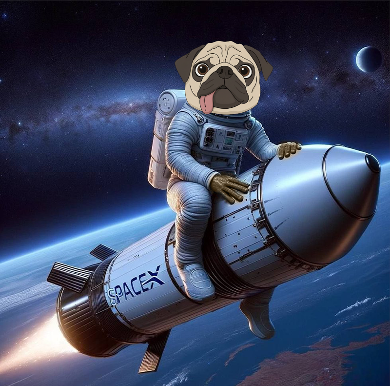 DOUG (@DOUG_Token) / Posts / X