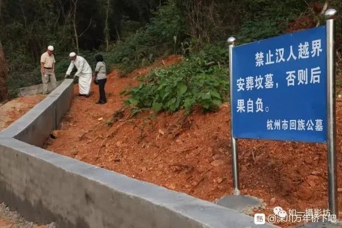 TWCommanderCat's tweet image. 蛔虫维猪们，想挨陈书记的鞭子了吗😅

孙先生提出的五族共和如果在某些地方实行不了，那改成四族也不是不可，你们没这么重要