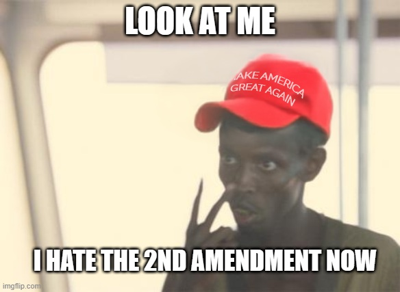 Giving up your 2nd amendment rights to own the libs.