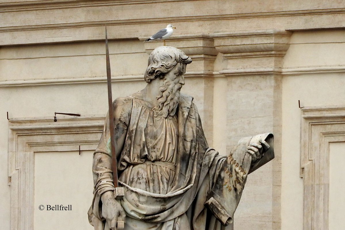 "Denn Gott hat uns nicht einen Geist der Verzagtheit gegeben, sondern den Geist der Kraft, der Liebe und der Besonnenheit."
(Hl. Apostel Paulus in der heutigen Lesung)

Euch allen einen gesegneten und schönen Tag!