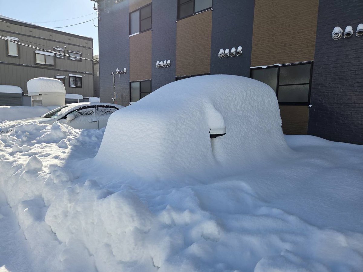 torachan_23's tweet photo. 友達の車完全に見えなくなってる https://t.co/K6w5WjusqO