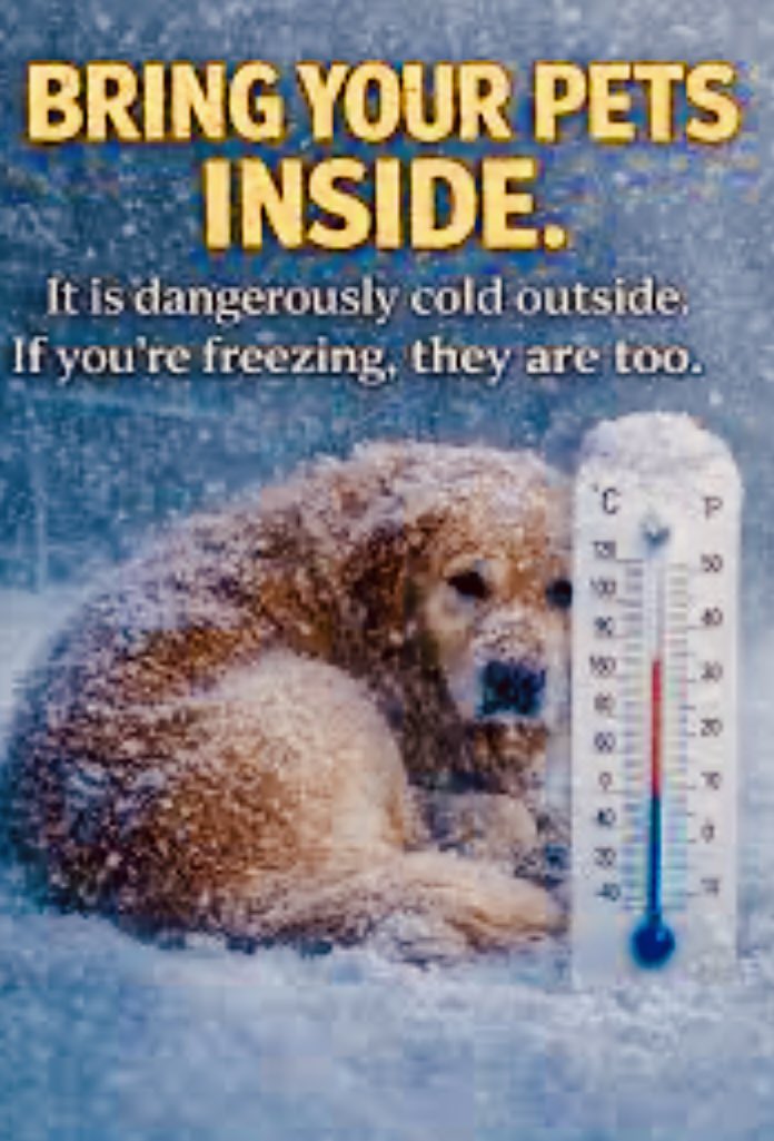 tkallmon's tweet image. If you or someone you know does this…your life on earth will never have a good day again, you will be in miserable pain every single minute of everyday and when you die you will instantly burn throughout eternity in the depths of hell. Fucking piece of shit! #WinterStorm…