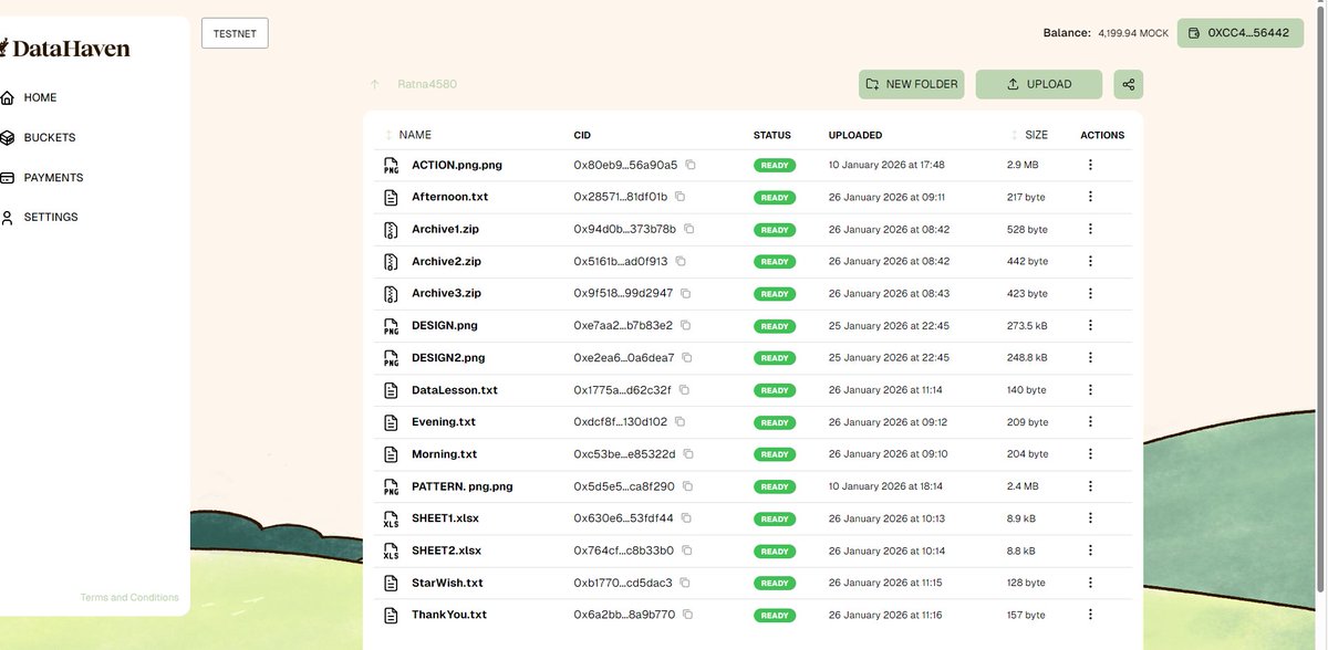 Created my Stargazer’s Archive tonight ✨
Documented my 2026 wish, a valuable data lesson, and gratitude for the DataHaven community. Small records today become meaningful history tomorrow.
<a href="/DataHaven_xyz/">DataHaven 🫎</a>