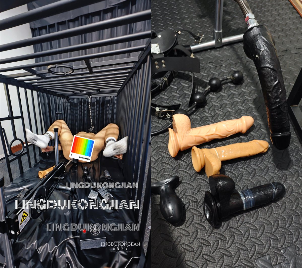 战肌ZJ tweet media