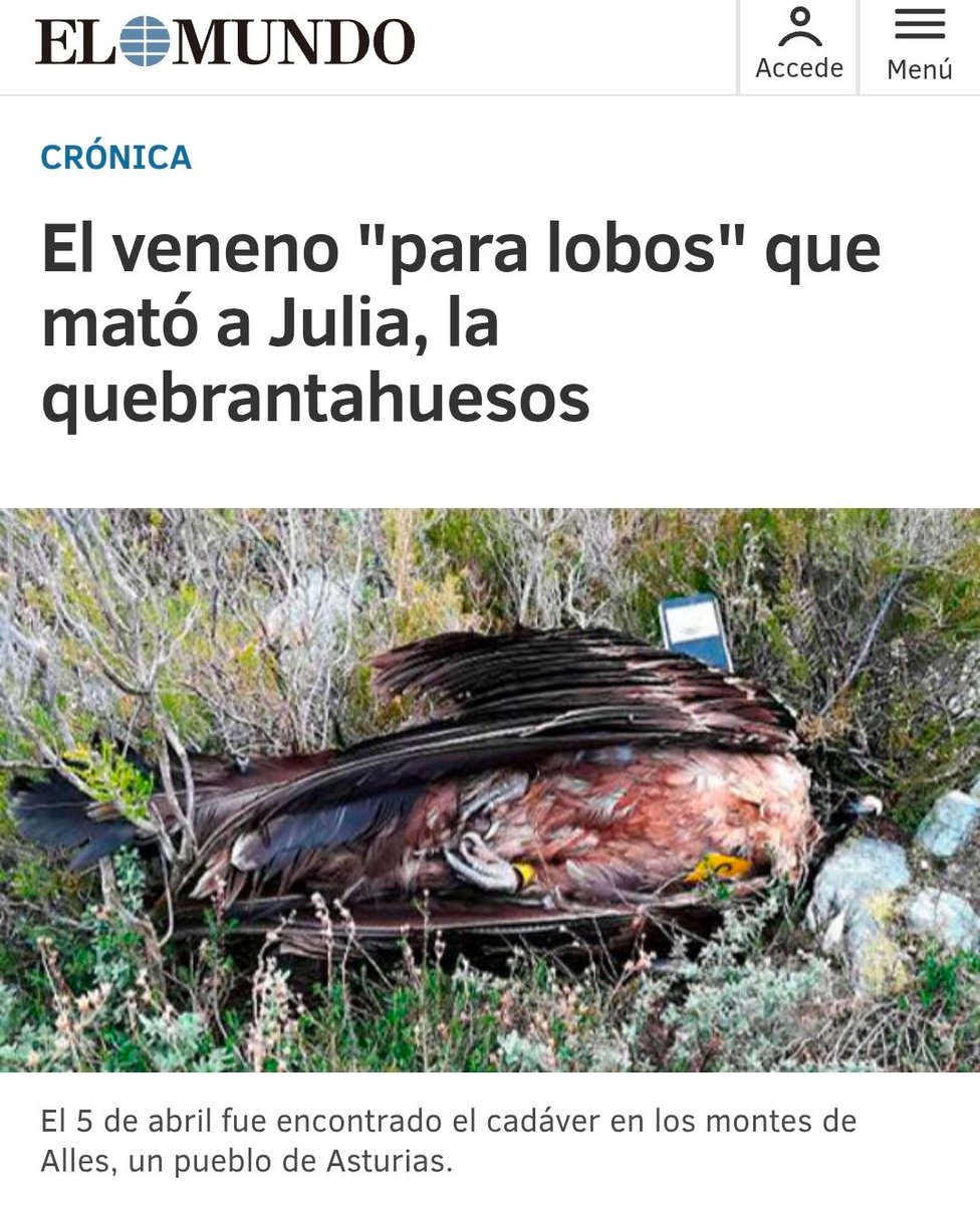 Rocio tweet media