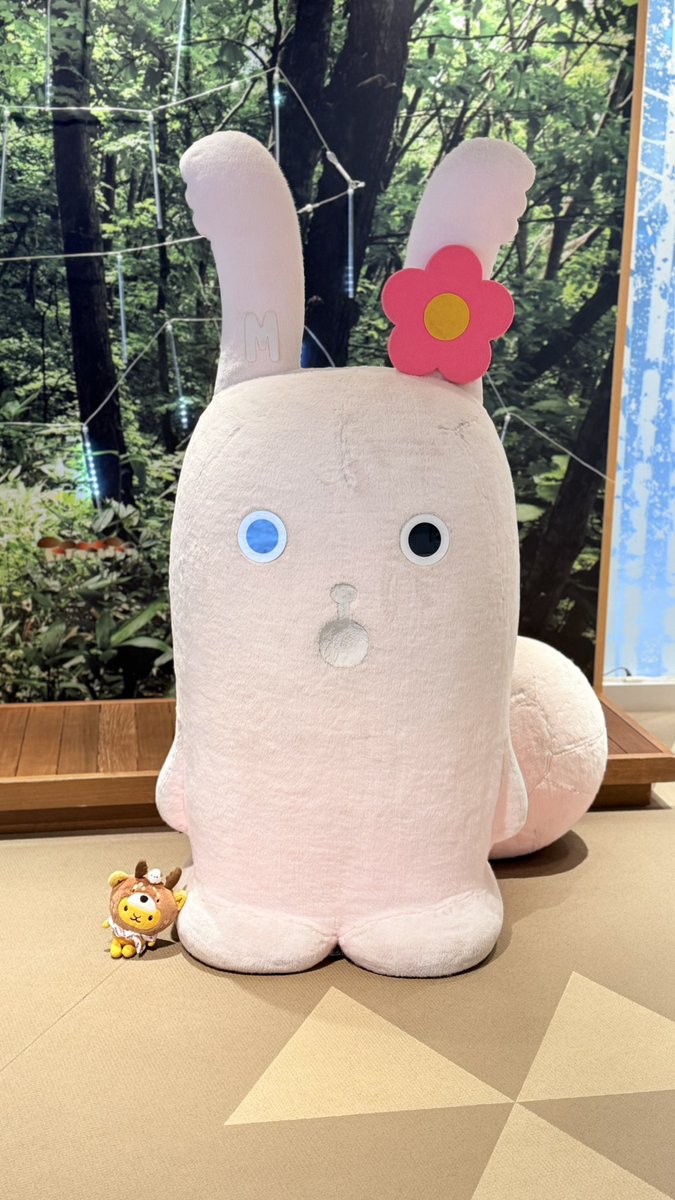 キュンちゃん【公式】 (@kyunchan_dc) / Posts / X