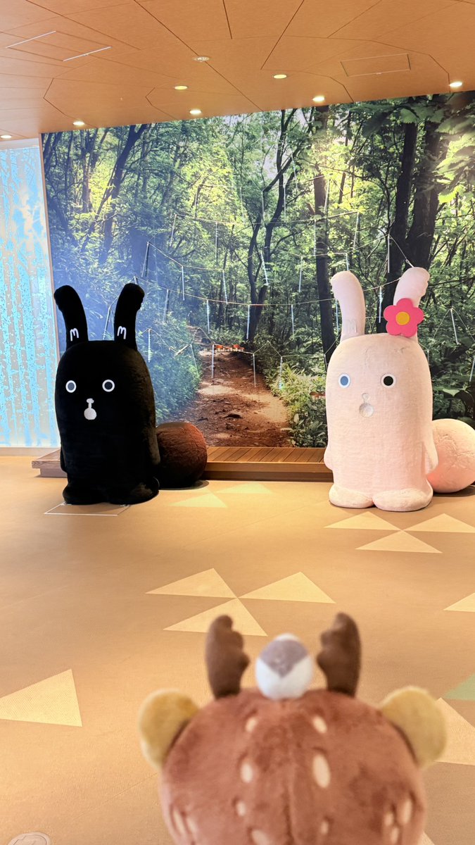 キュンちゃん【公式】 (@kyunchan_dc) / Posts / X