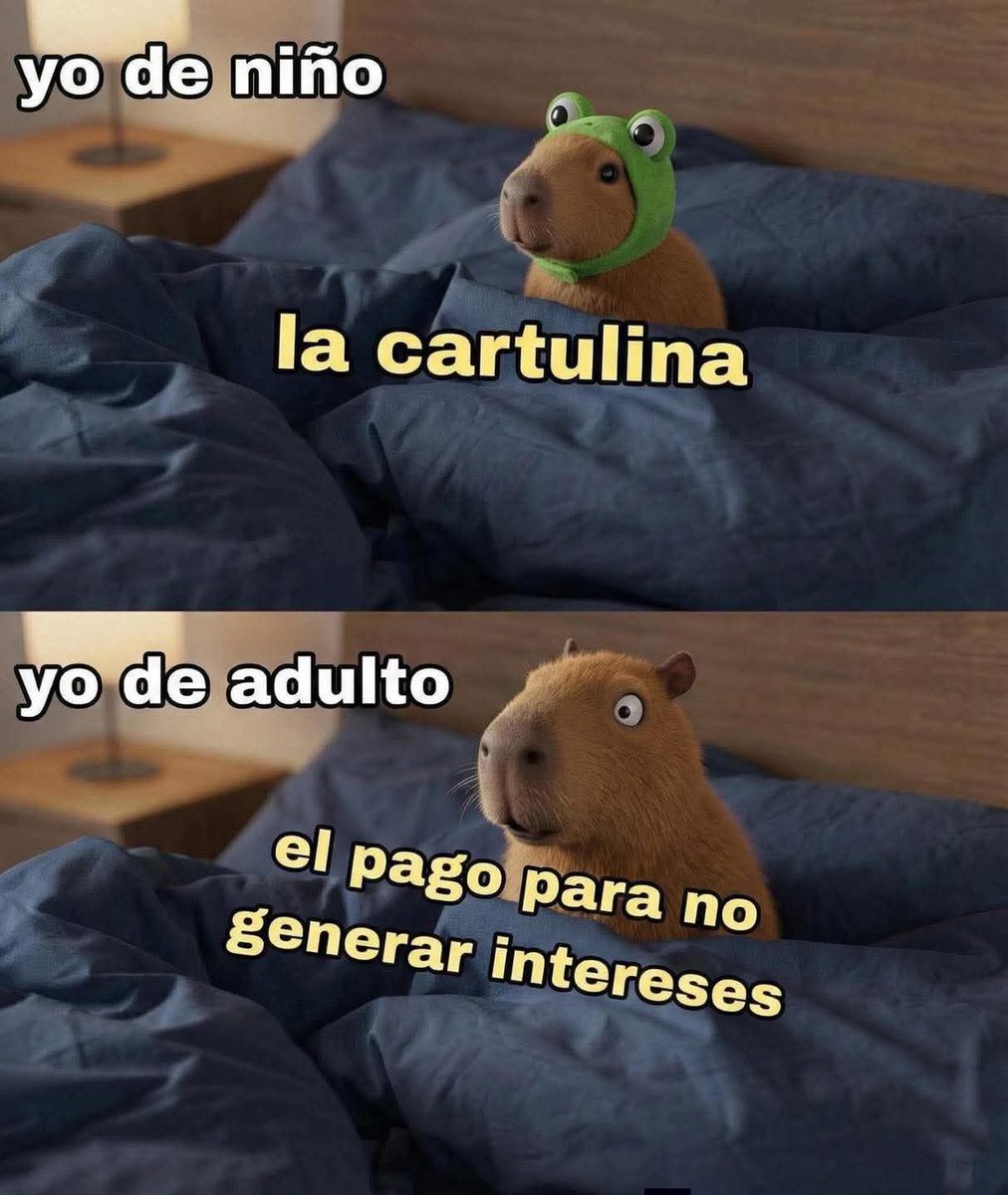 MsCiencia2's tweet image. Prefiero mejor la cartulina.