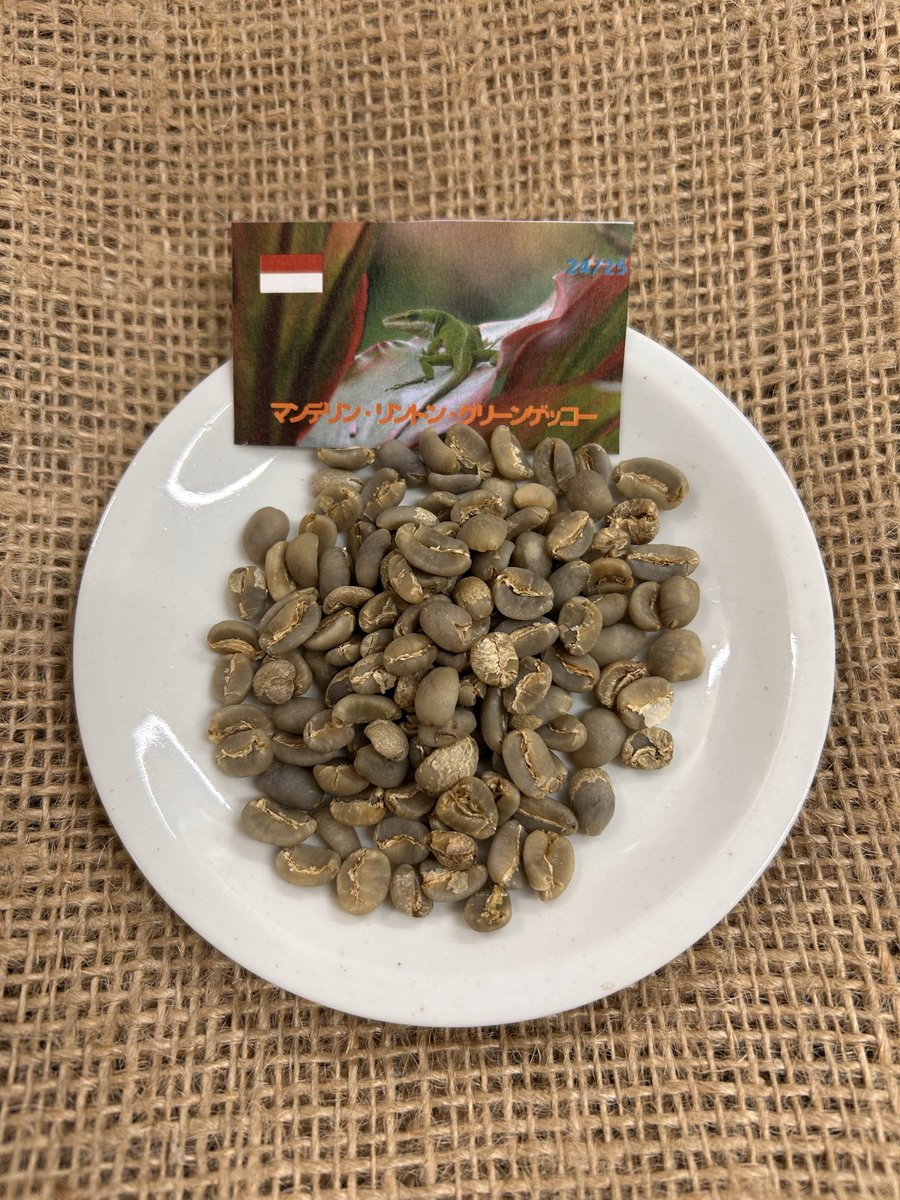 こんにちは！

🇮🇩インドネシア🇮🇩
⭐︎グリーンゲッコー
⭐︎トレンジリング
⭐︎マンデリン・G1
残りわずかとなってきました！

昨年の水害の為、今後入荷は未定です…

ご注文お待ちしております☺︎

🫘本日もありがとうございました🫘