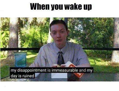 kyuu 🌙☀️ tweet media