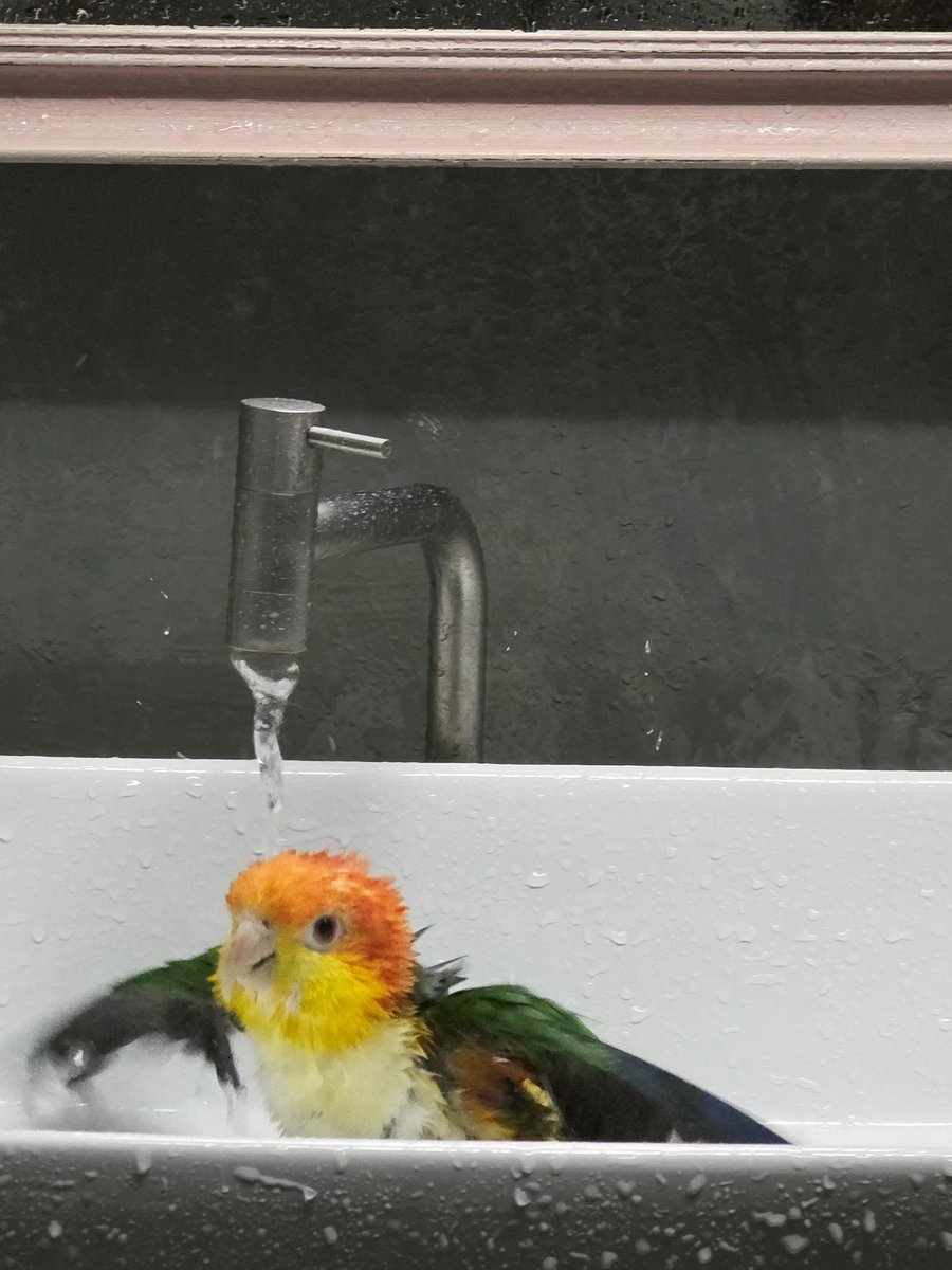 วันนี้พาเด็กเล่นน้ำ