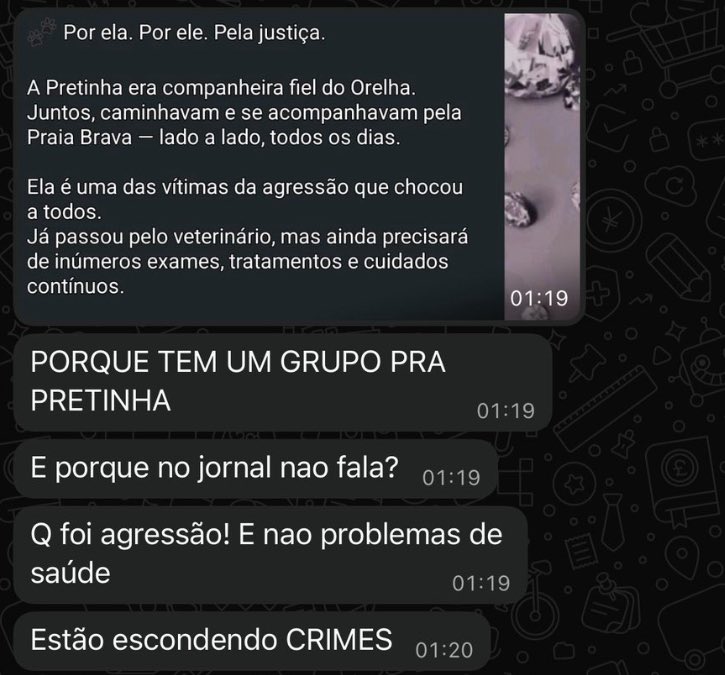 cascaofavs's tweet image. NÃO FOI SÓ O ORELHA QUE FOI ATACADO PELOS VERMES AQUELE DIA. PRETINHA ERA COMPANHEIRA DE ORELHA E FICAVA NA CASINHA AO LADO DA DELE TAMBÉM FOI AGREDIDA E ESTÁ EM ESTADO GRAVE !! DIVULGUEM AS NOVAS INFORMAÇÕES #justicapororelha