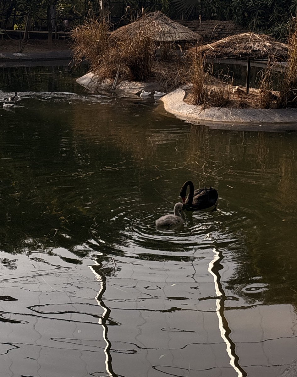 Amarrr🥁 tweet media