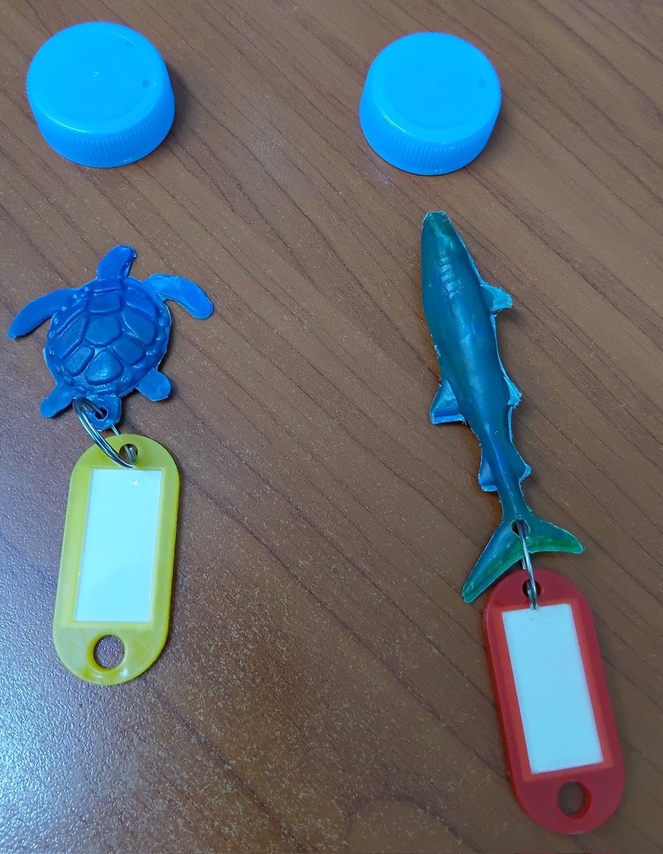 Med Robleh tweet media