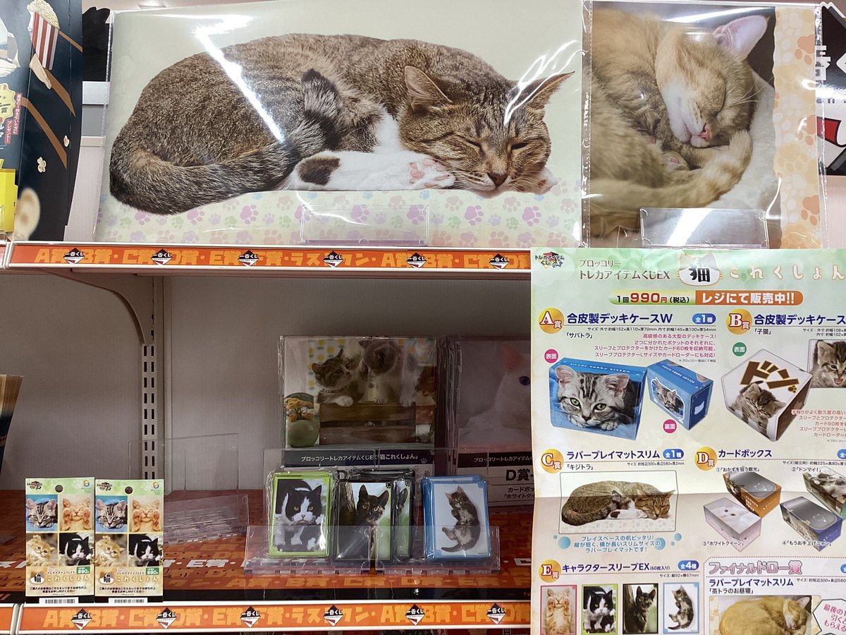 🎯くじ情報🎯 ⭐️#ブロッコリー⭐️ ✨#トレカアイテムくじEX