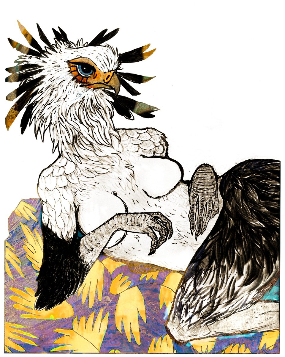 BIRBLYFE🇵🇸🇨🇩🇸🇩 tweet media