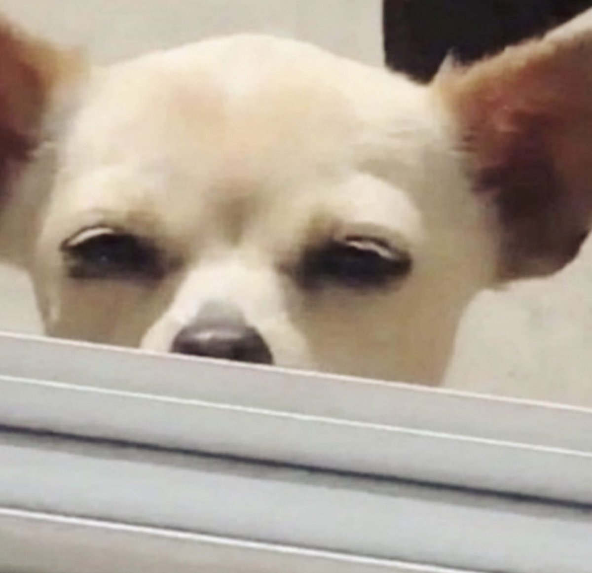 Bloom Wrangle tweet media