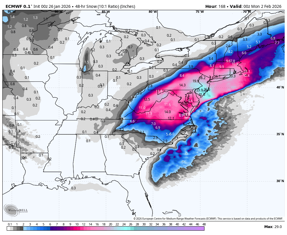 𝐝𝐬𝐩𝐫𝐢𝐧𝐠𝐳ᵂˣ tweet media