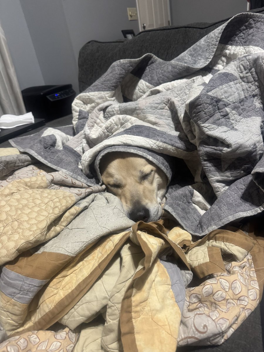 Olathe West XC tweet media