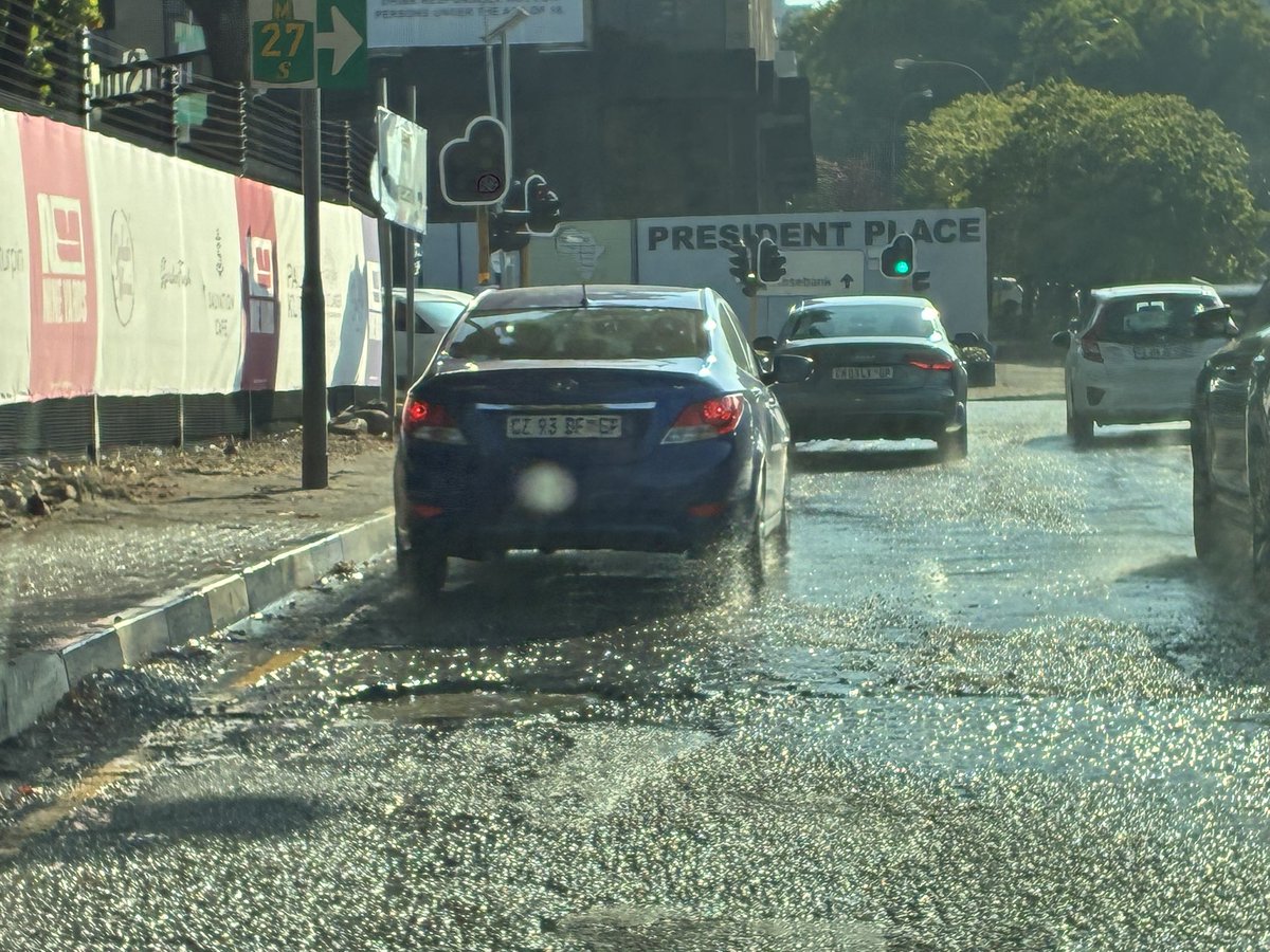 Giulietta Talevi tweet media