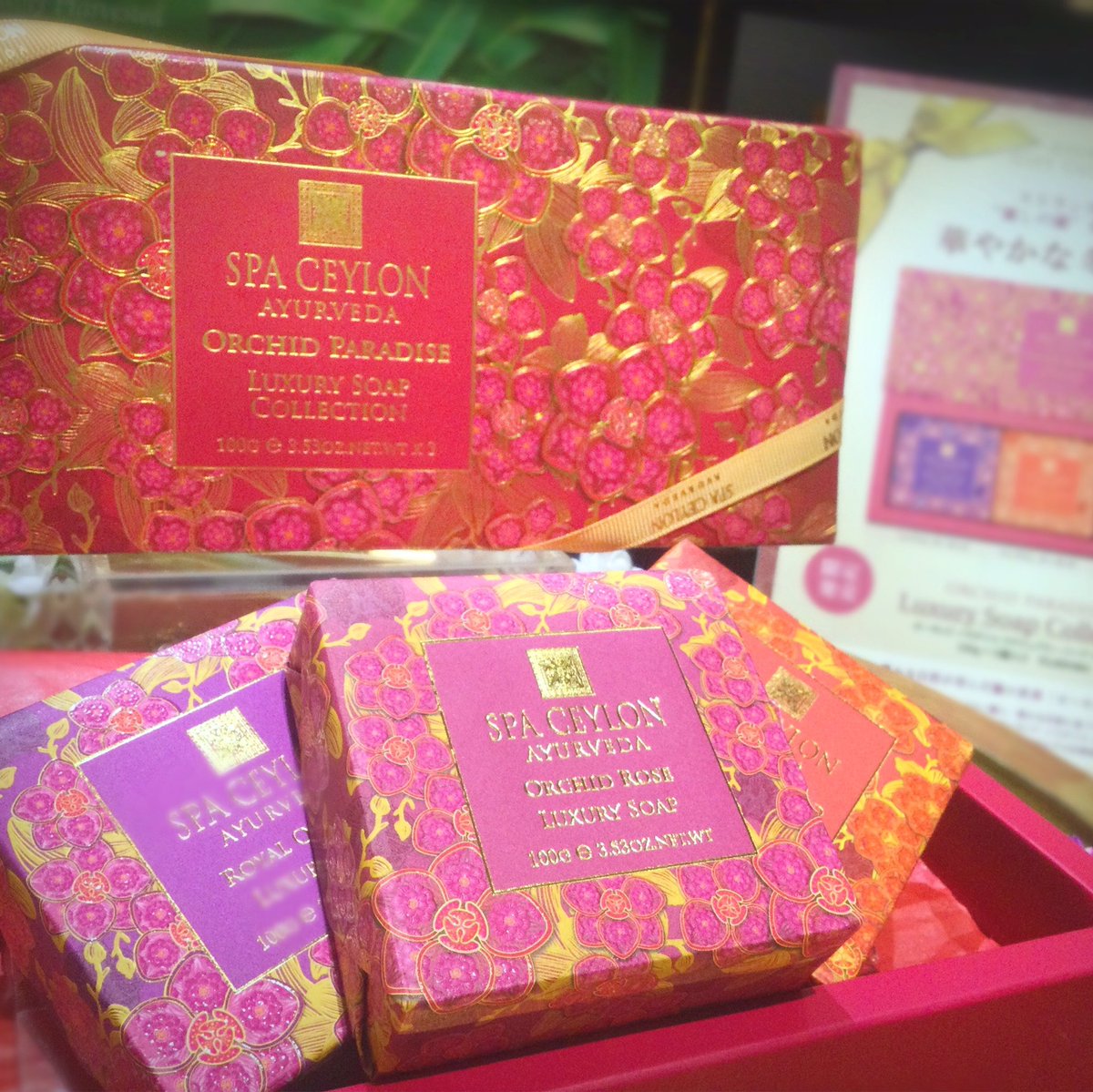 SPA CEYLON 日本 (@SpaCeylonJP) / Posts / X