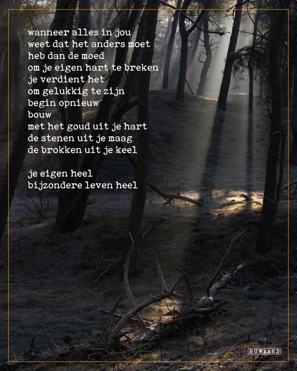 Cart⭕⭕n Leentje🇳🇱🌷🪻🌞 tweet media