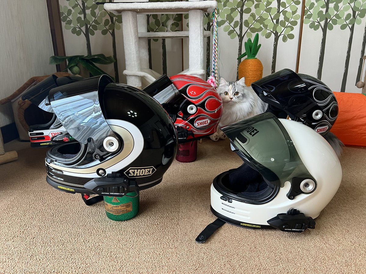 グラムスターコレクション増えた🔥

#グラムスター #グラムスターブラスト