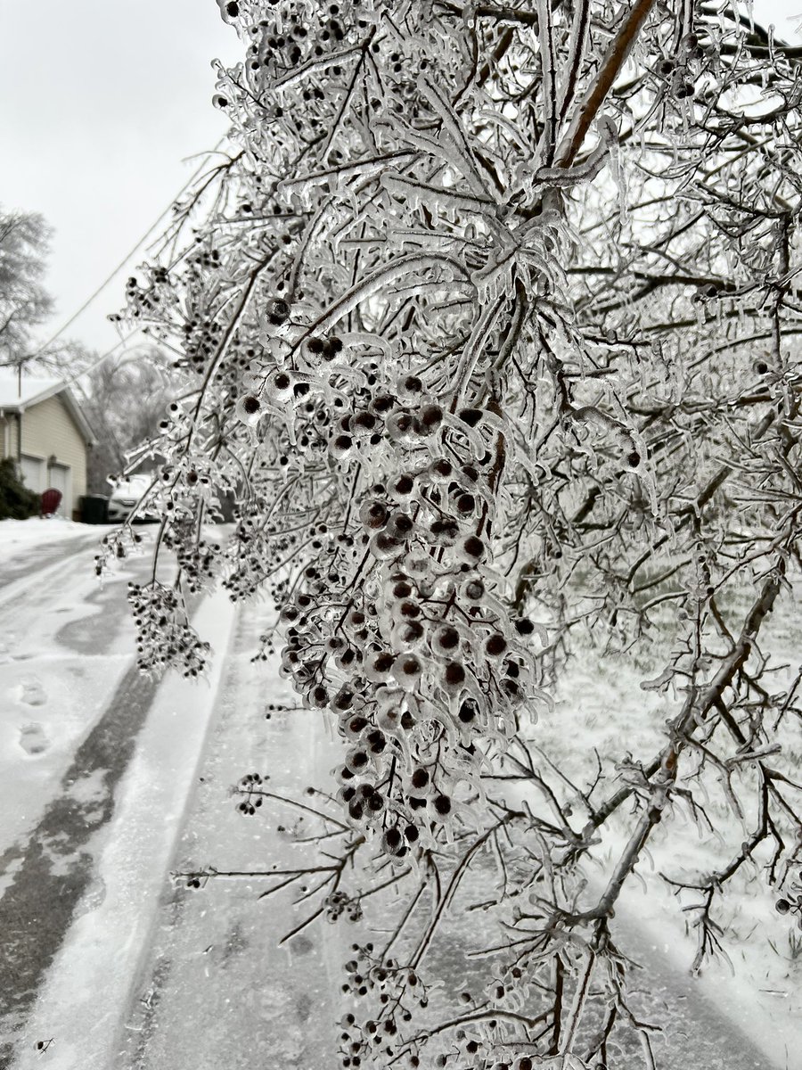 Mrs. Long tweet media