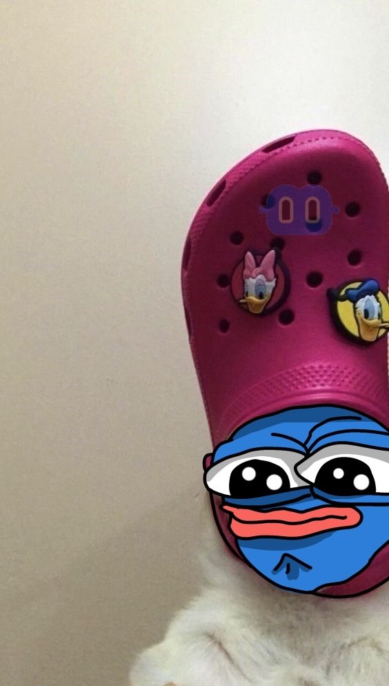 GM fam 🌞

Wish you all a happy Monday