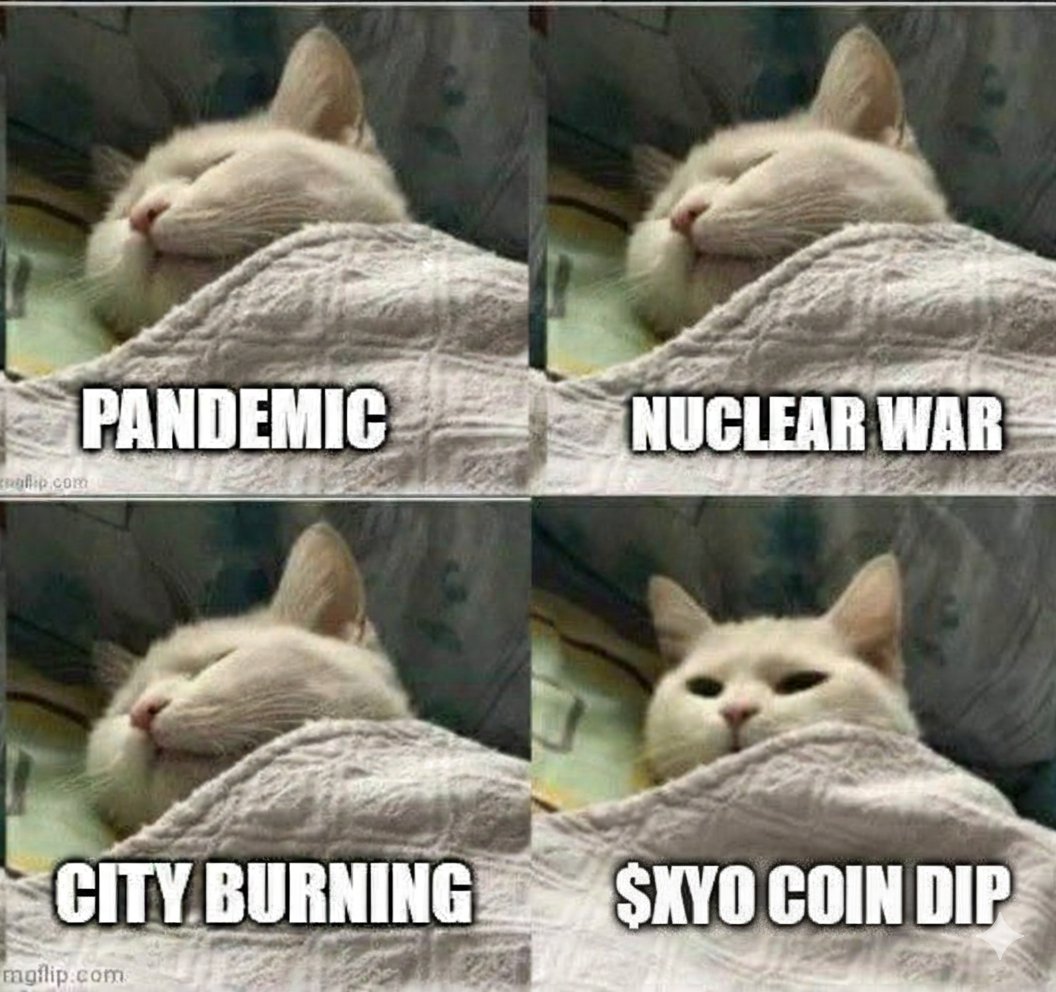 Crypto Man 🦙🔥 tweet media