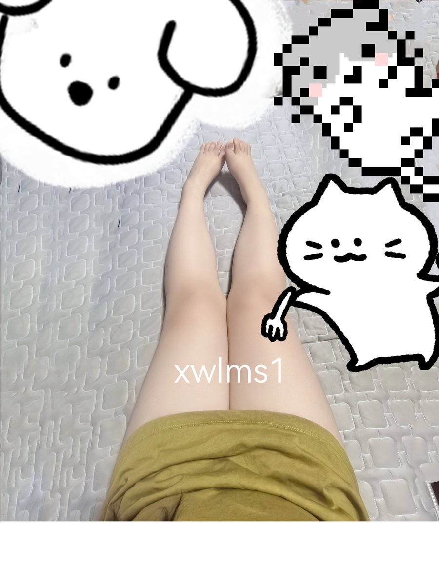 xwlms tweet media