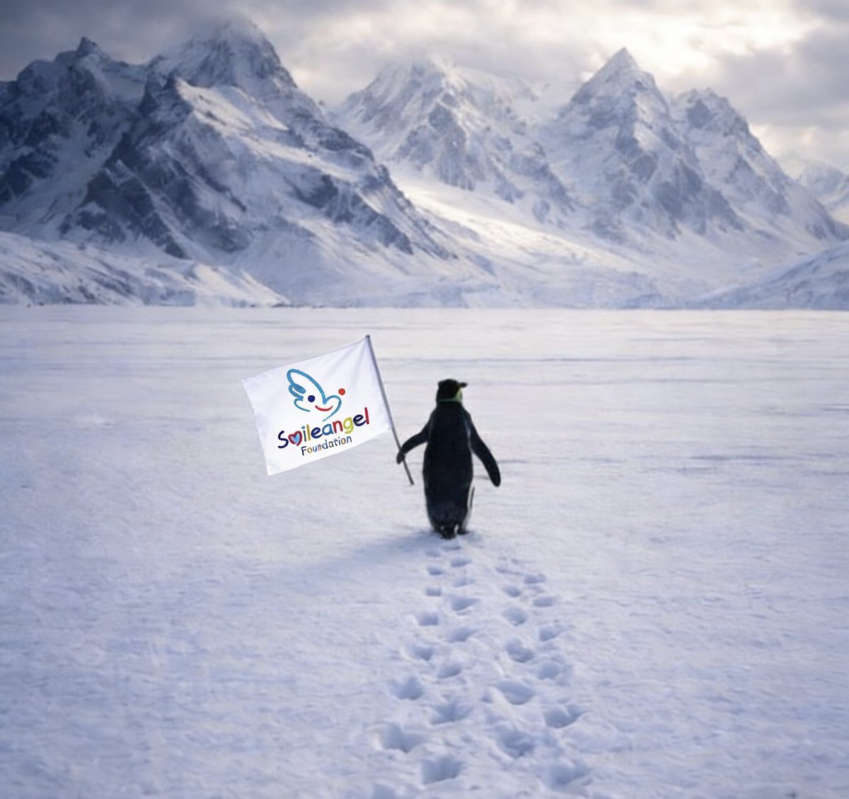 无情(捐款机) tweet media