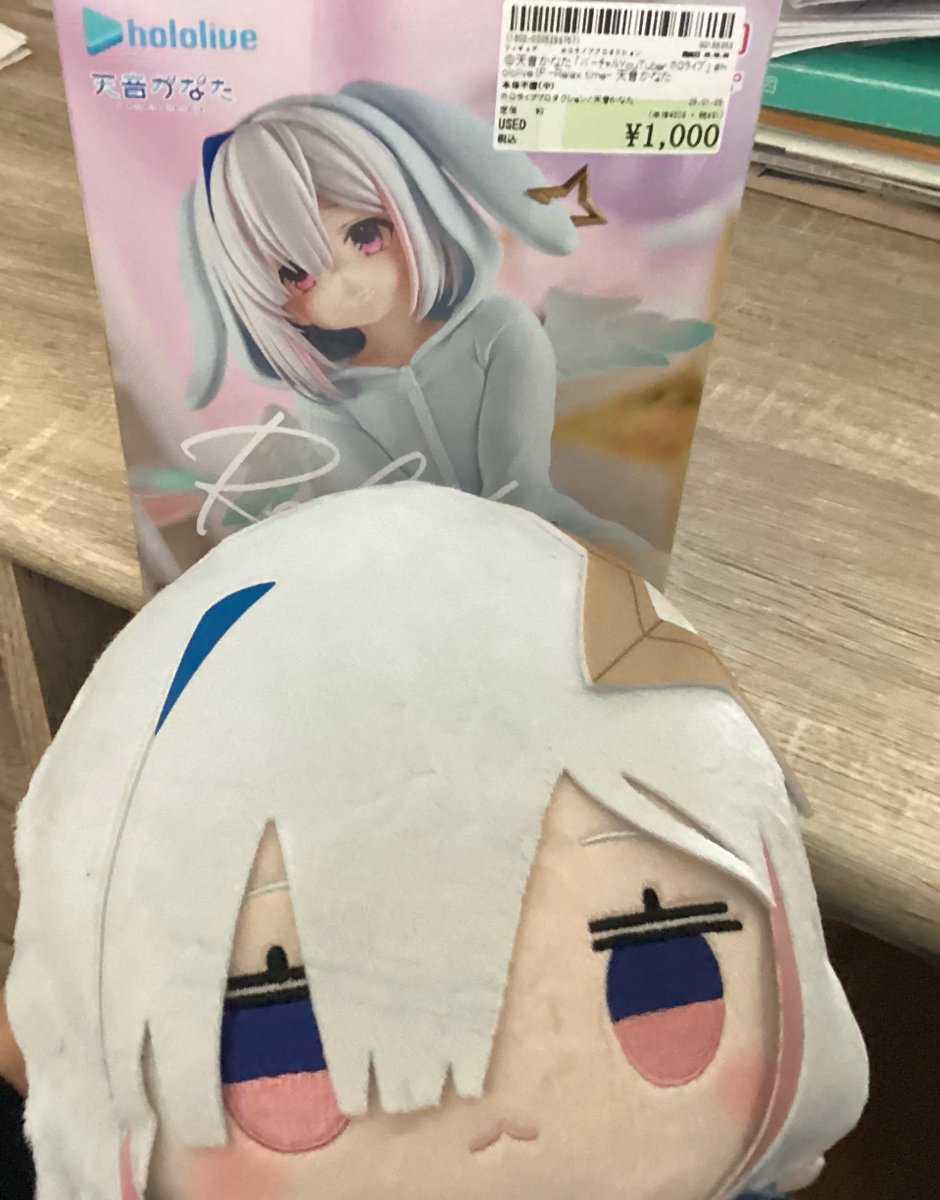 1500円で二つゲットー🪽
ぬいぐるみはクレーンゲームで笑
ぬいぐるみめっちゃ可愛い
#天音かなた