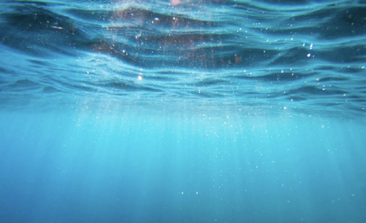 Oceani: “serbatoi” di calore

“Il riscaldamento globale degli oceani è continuato senza sosta nel 2025, in risposta all’aumento delle concentrazioni di gas serra”...

Ne scrivo su Unimondo.org - Unimondo - Atlante delle guerre: unimondo.org/news/oceani-se…
