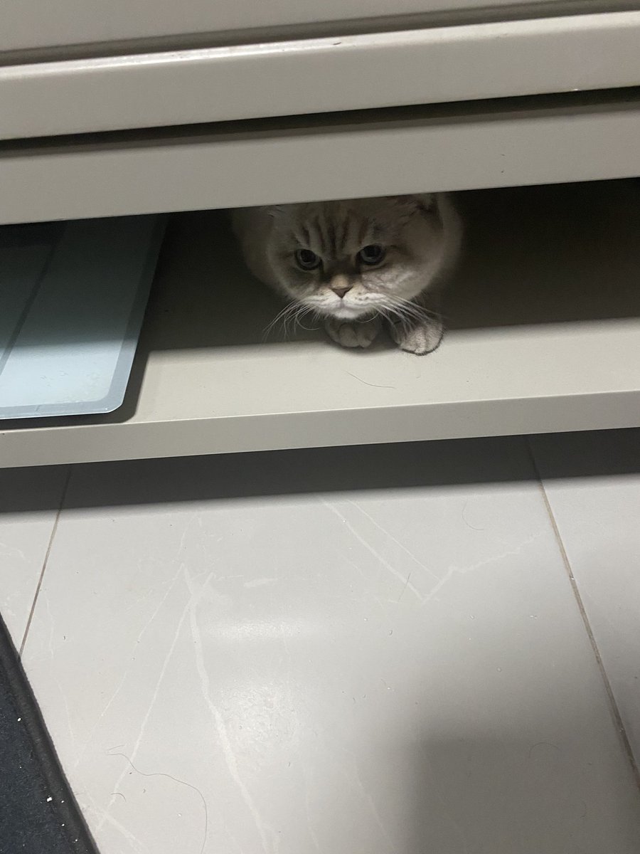 🤣🤣🤣yakaladım onu hemen sinsi 🤣🤣