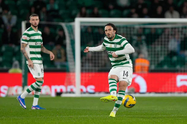 Universo Sporting tweet media