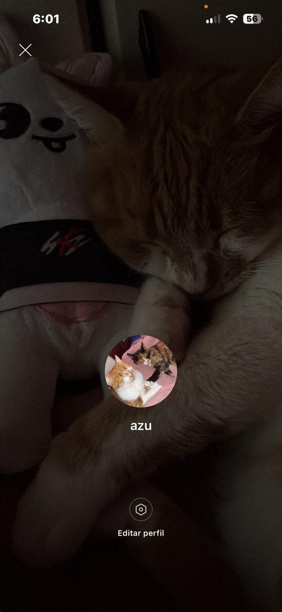 azu au's tweet media