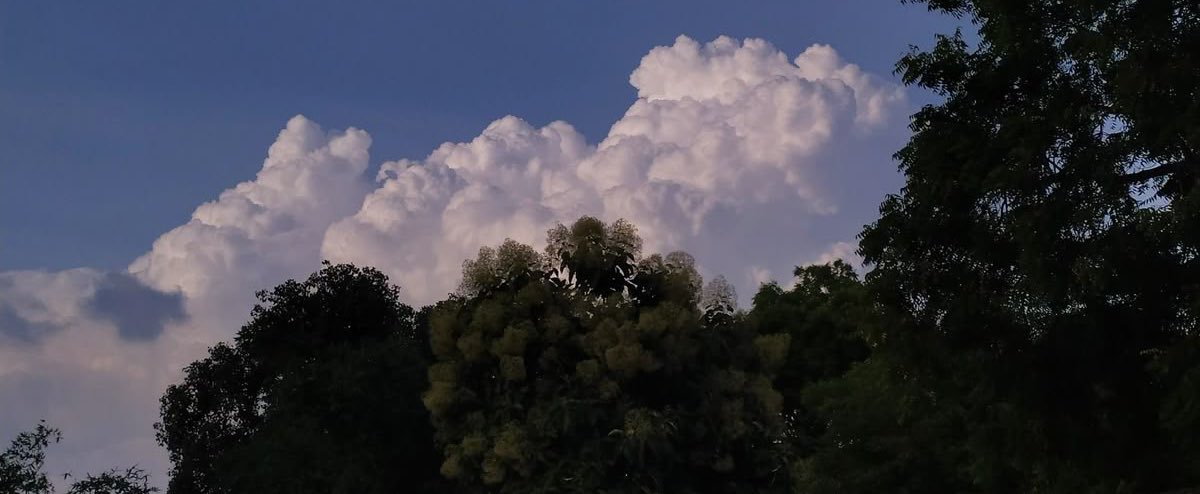 _lf47's tweet image. "نستودع الله حالنا،فأجعلهُ يارب
في خير ، وعلى خير ، و إلى خير".