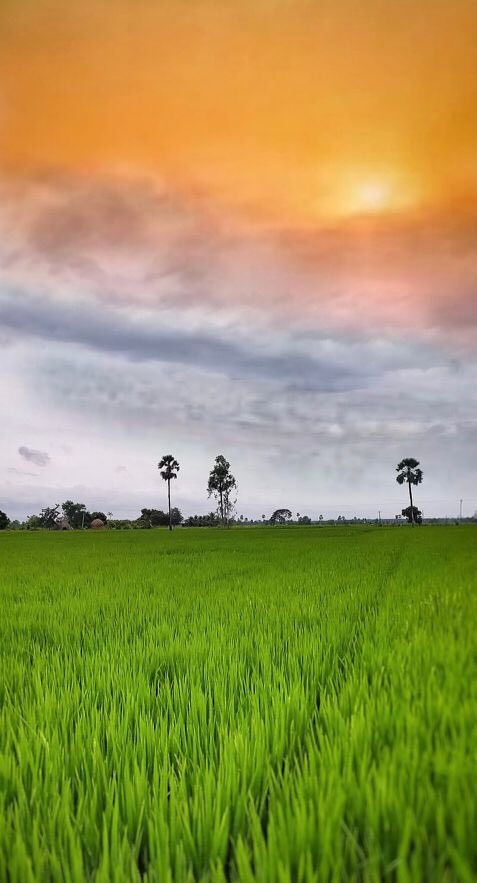 Happy Republic Day

<a href="/CMOMaharashtra/">CMO Maharashtra</a> a reminder for
- Environment Protection 
- Cleaner Air
- Showers from Sky