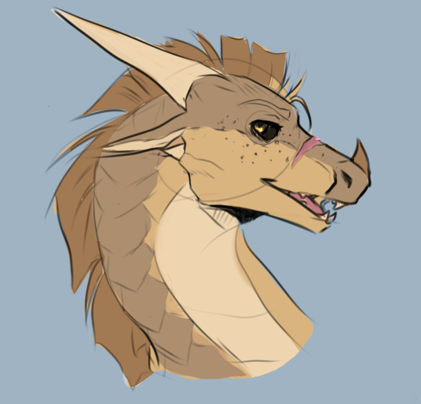 taiyofox tweet media