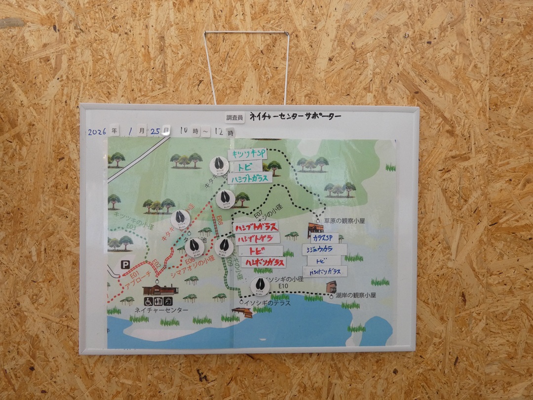1/25（日）、ネイチャーセンターサポーターの皆さんとウトナイ湖のスポットセンサス調査を実施。雪の中、森林・草原・湿原の3地点でハシブトガラやトビを確認し、動物の足跡探しも行いました。案内用ボードは館内に掲示中です。
※本活動は北海道e-水プロジェクトの助成を受けて実施しています。