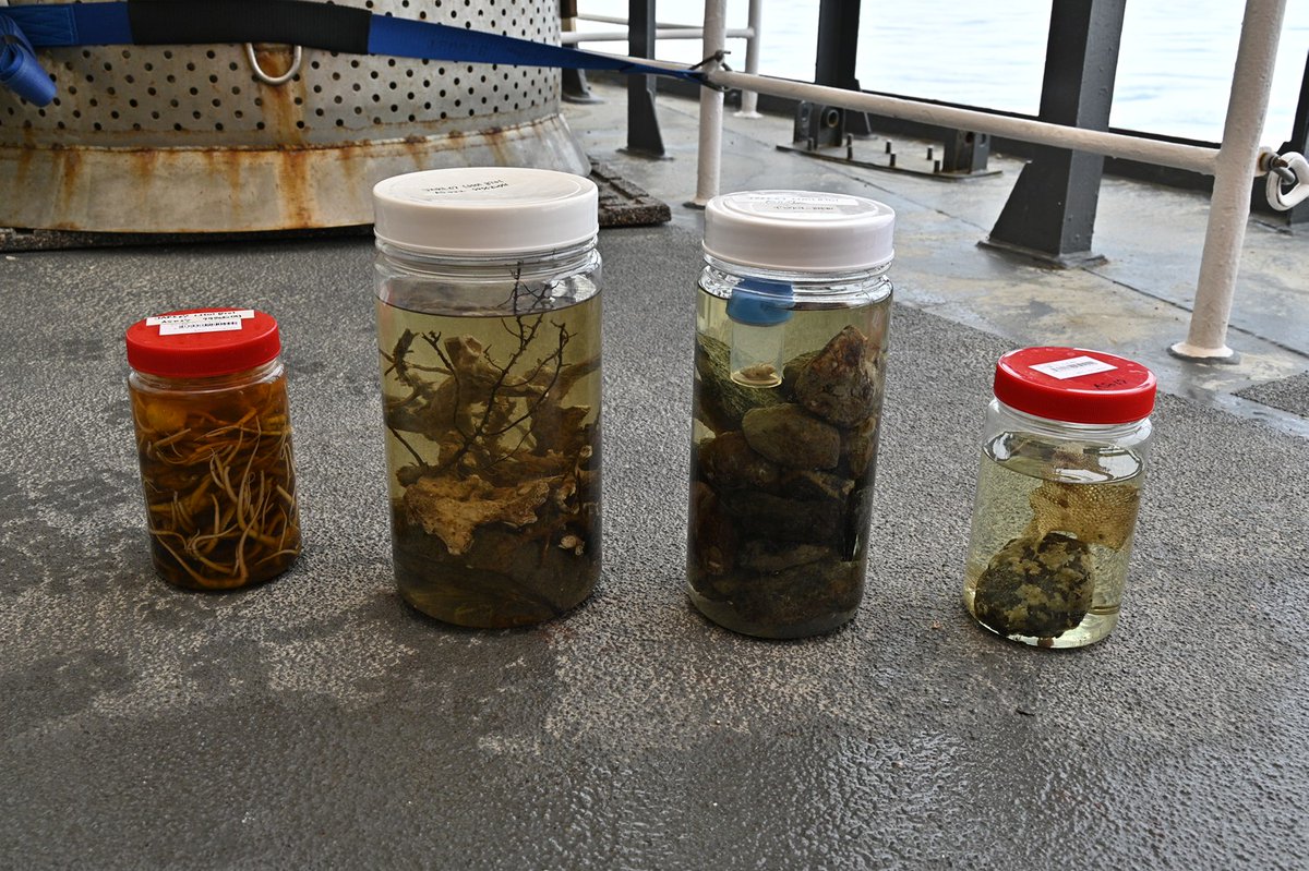 ⛄#砕氷艦しらせ の知らせ🐧 #しらせ は海洋観測支援、野外観測支援を