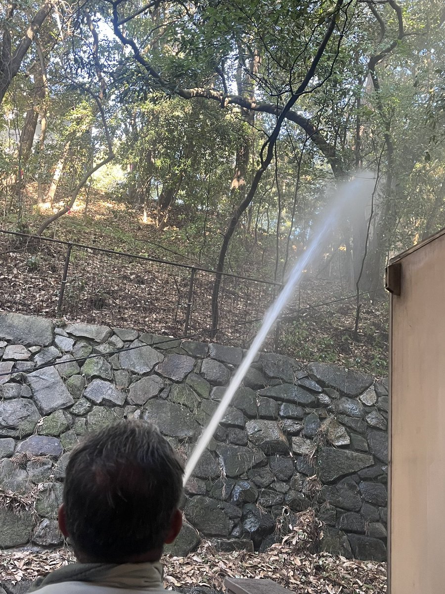 呉市立美術館 tweet media