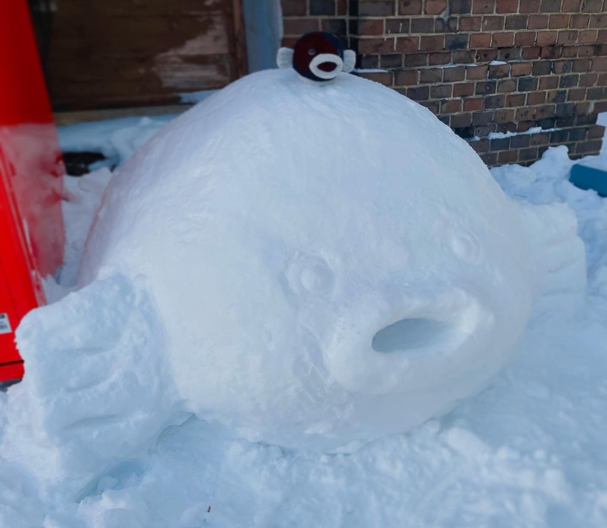 くくり (@Kukuri_meow) / Posts and Replies / X