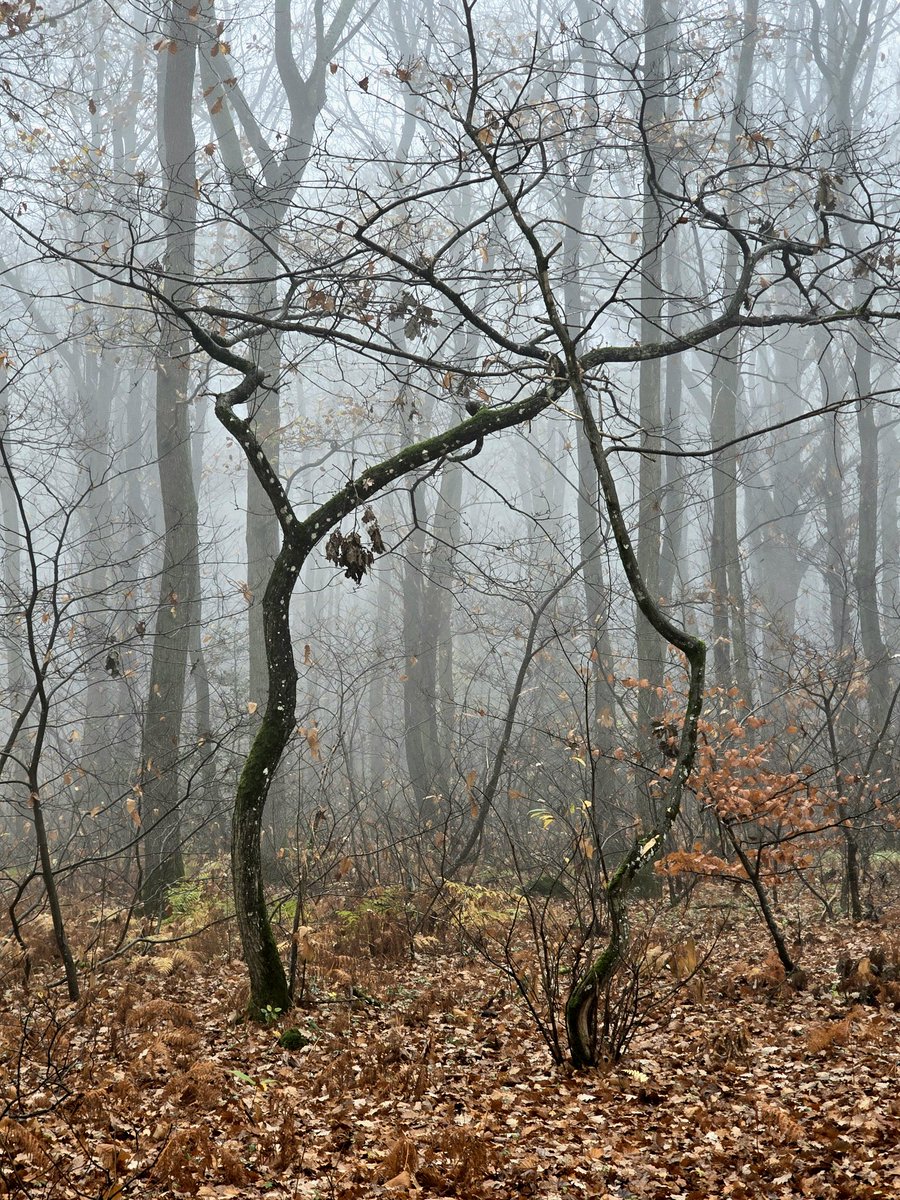 Bonjour, très belle semaine