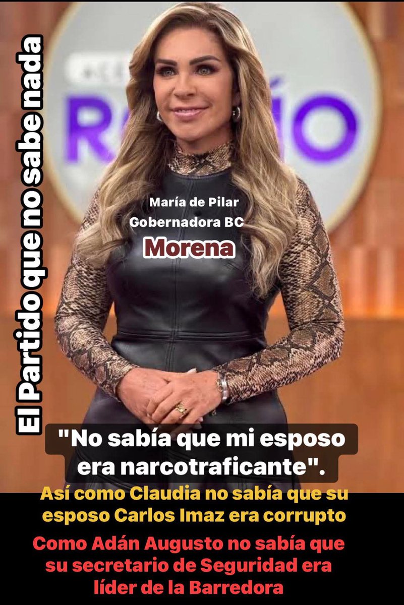 LucaVillarrea12's tweet image. #MorenaEsElCáncerDeMéxico