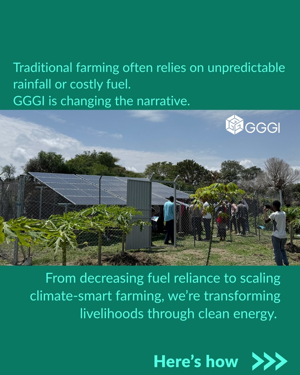 GGGIEthiopia's tweet photo. #InternationalDayofCleanEnergy
In #Ethiopia, #GGGI is driving the transition by boosting productivity and cutting fuel costs through climate-smart solutions. 🌍✨
Swipe through to see our impact! 👇
#InternationalDayOfCleanEnergy #GGGIcleanenergy #GreenGrowth @gggi_hq @GGGIAfrica https://t.co/KFwQIZJrIf